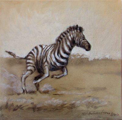 Bild Scheuendes Zebra von Uli Aschenborn